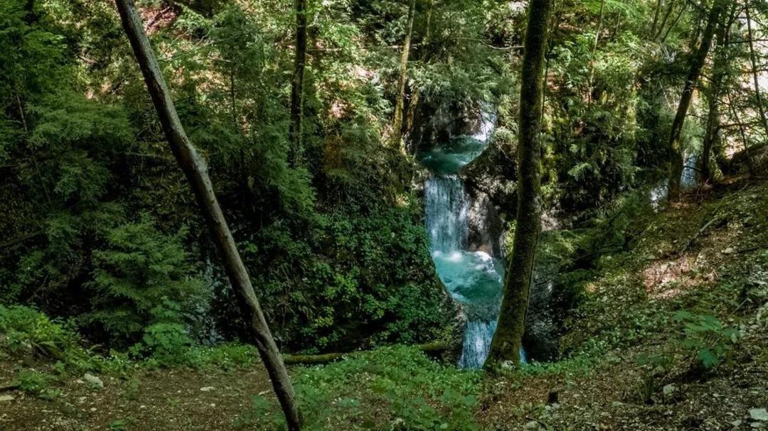 B&B Gianchia Brentino Belluno Kültér fotó